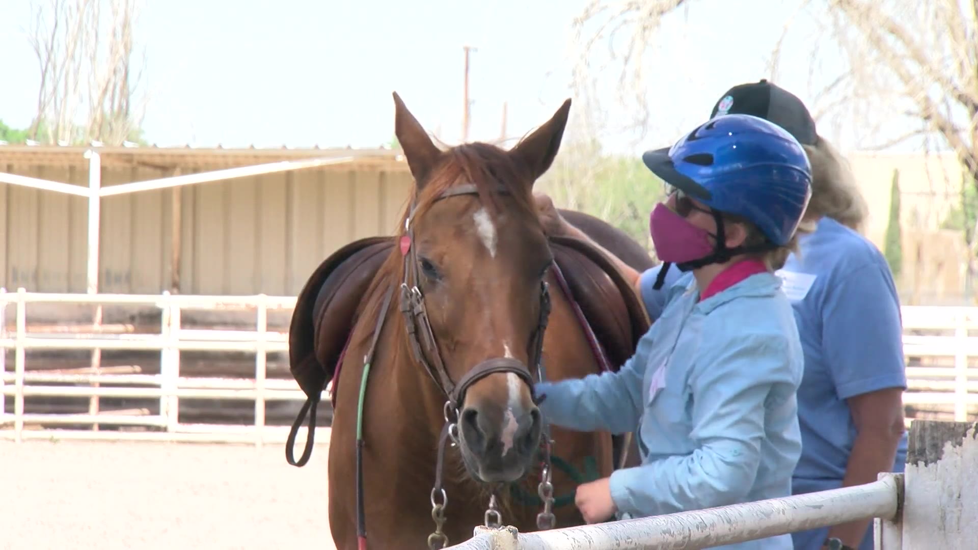 Equine therapy program returns after challenging year KRQE NEWS 13 Breaking News