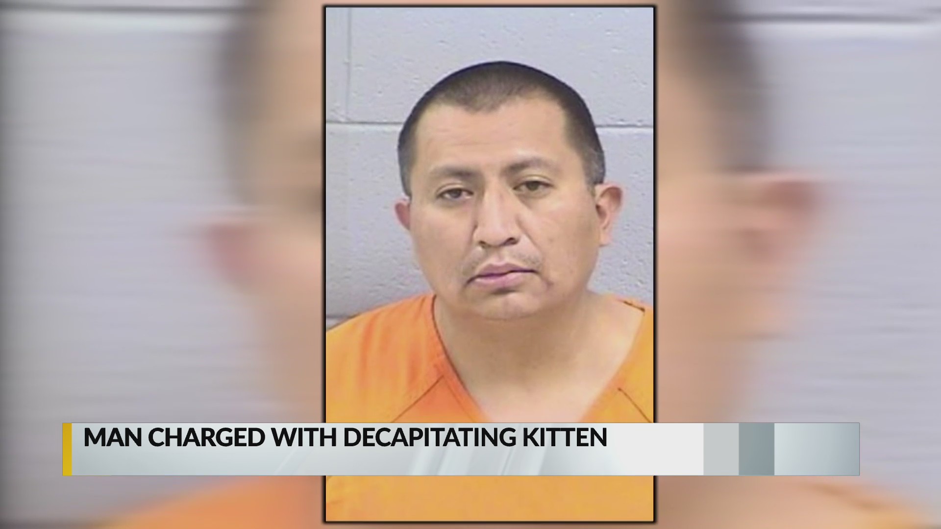 Jicarilla Game & Fish officer charged with decapitating kitten KRQE