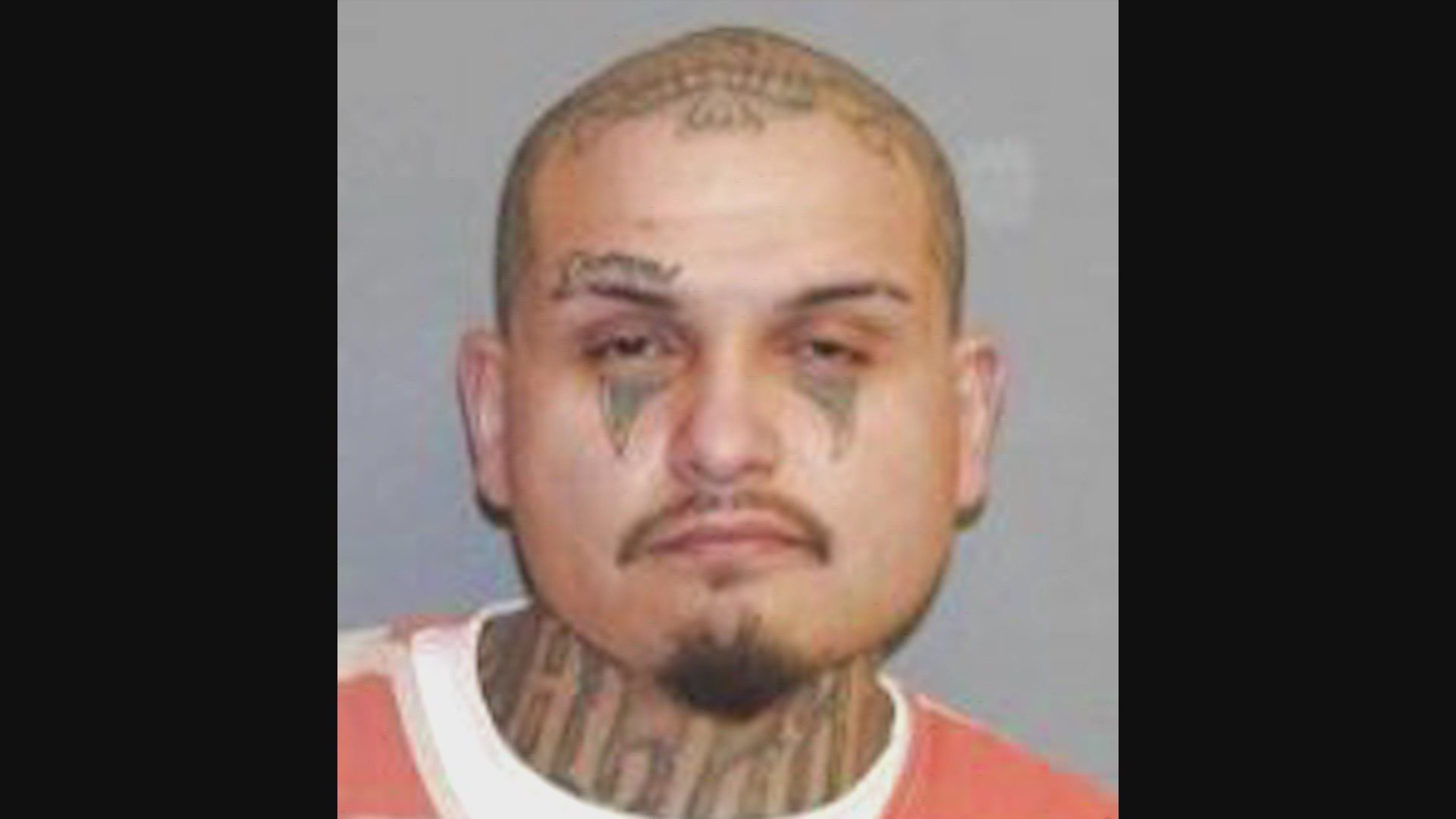 Felon arrested in New Mexico after human remains found in Colorado ...